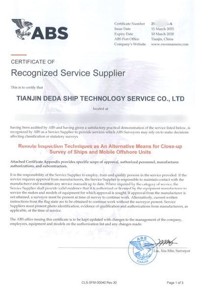 Remote Inspection Techniques